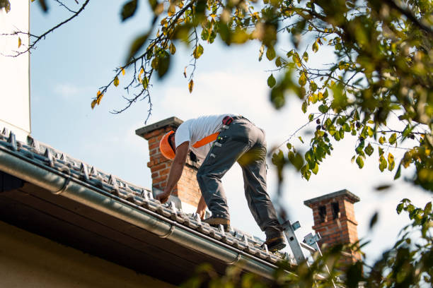 Best Roof Leak Repair  in West Liberty, IA
