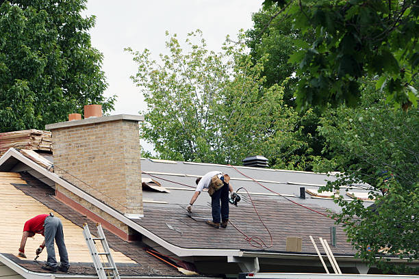 Roof Gutter Cleaning in West Liberty, IA