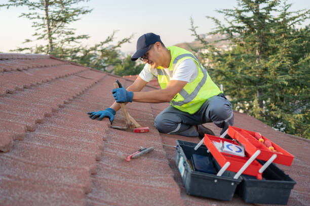 Best Roof Maintenance Services  in West Liberty, IA
